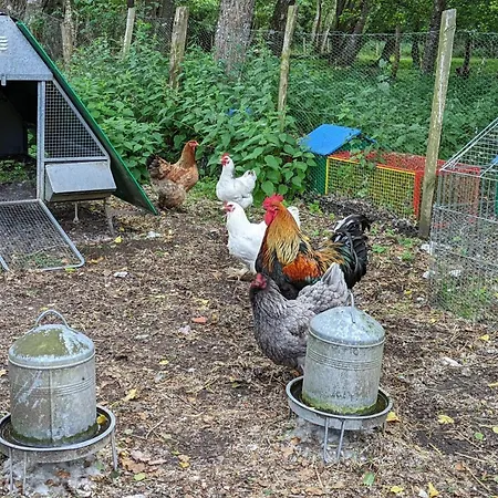Spacieux Avec Jardin Privatif, Animaux, Accès Pmr, Pêche, Randonnées Et équipements Bébé Inclus - Fr-1-653-191 Guizengeard