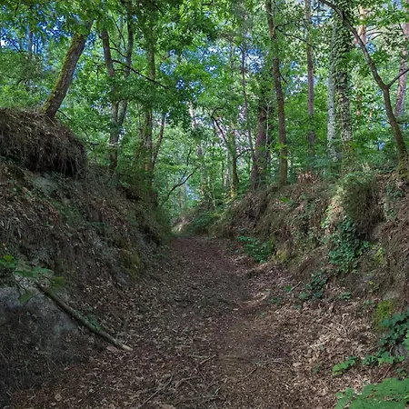 Spacieux Avec Jardin Privatif, Animaux, Accès Pmr, Pêche, Randonnées Et équipements Bébé Inclus - Fr-1-653-191 * Guizengeard