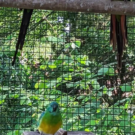 Spacieux Avec Jardin Privatif, Animaux, Accès Pmr, Pêche, Randonnées Et équipements Bébé Inclus - Fr-1-653-191 Casa vacanze