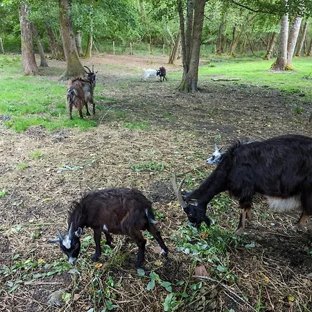 Spacieux Avec Jardin Privatif, Animaux, Accès Pmr, Pêche, Randonnées Et équipements Bébé Inclus - Fr-1-653-191 Casa vacanze *