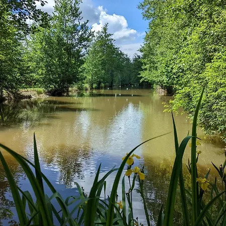 Casa vacanze Spacieux Avec Jardin Privatif, Animaux, Accès Pmr, Pêche, Randonnées Et équipements Bébé Inclus - Fr-1-653-191 Guizengeard